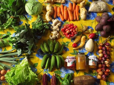 Redes territoriais de produção e consumo de alimentos distribuem comida de verdade por todo o Brasil